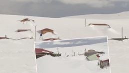 Havaların Isınmasıyla G&ouml;r&uuml;lmeye Başlandı: 3 Metre Karın Altından &Ccedil;ıktı