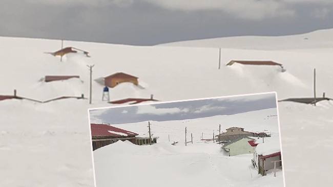 Havaların Isınmasıyla G&ouml;r&uuml;lmeye Başlandı: 3 Metre Karın Altından &Ccedil;ıktı