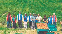Haydi gen&ccedil;ler tarlaya