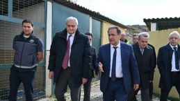 İ&ccedil;işleri Bakanlığı harekete ge&ccedil;ti&hellip; Vahşet yaşanan barınakta inceleme