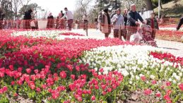 İstanbul &ccedil;i&ccedil;ek a&ccedil;tı