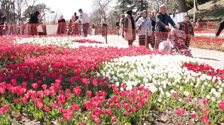 İstanbul &ccedil;i&ccedil;ek a&ccedil;tı