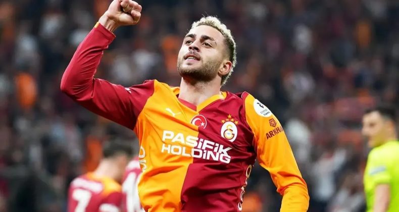 İstikrarlı Aslanlar
