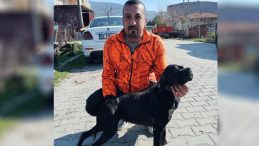 İzmir'de feci olay! Arıtma tesisindeki &ccedil;amur &ccedil;ukuruna ara&ccedil;la d&uuml;şen iş&ccedil;i hayatını kaybetti