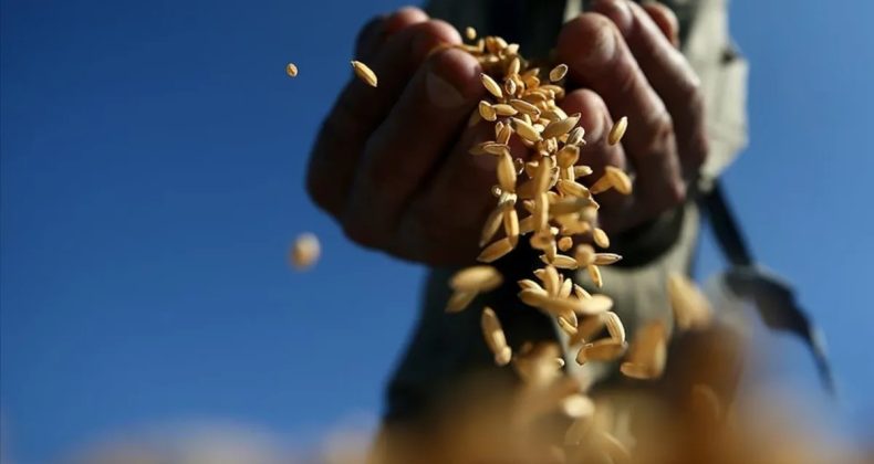 Jeopolitik Gerilimler Emtia Piyasalarını Sarsıyor: Altın, Petrol ve Tarım Ürünlerinde İlk Çeyrek Analizi