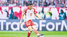 Kanarya KİMliğini buldu!