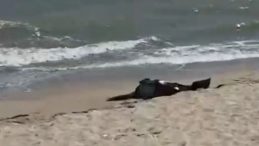 Karaburun Sahilde Ceset Bulundu