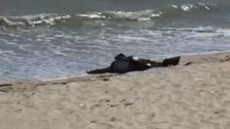 Karaburun Sahilinde Bulunan Cesedin 40 G&uuml;nd&uuml;r Aranan Adamın Ait Olduğu Belirlendi