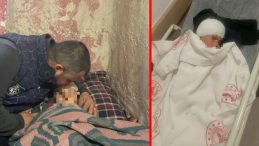 Kayseri'de K&ouml;pek Saldırısı Dehşeti: Acılı Babaya Akılalmaz Para Teklifi!