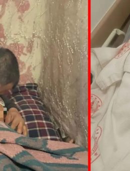 Kayseri'de K&ouml;pek Saldırısı Dehşeti: Acılı Babaya Akılalmaz Para Teklifi!