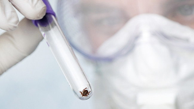 Kene kabusu geri mi d&ouml;n&uuml;yor? Riskli b&ouml;lgeler i&ccedil;in kritik uyarı