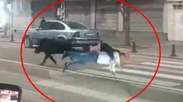 Kent merkezine indi, vatandaşlara saldırdı: 3 kişi yaralandı