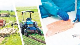 Kırsaldan ekonomiye 400 milyon euro katkı