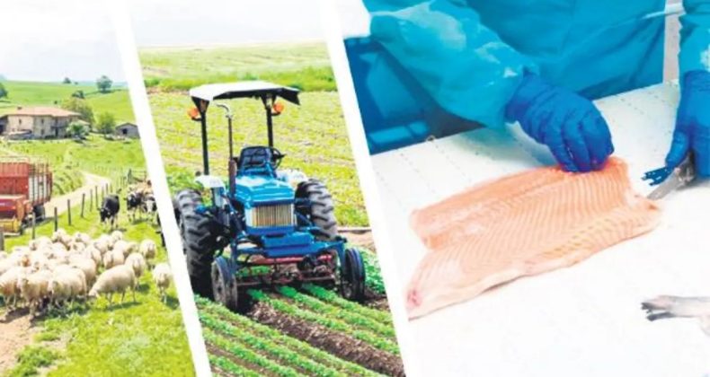 Kırsaldan ekonomiye 400 milyon euro katkı