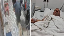 Korkun&ccedil; olay kamerada: K&ouml;peğin saldırısında koptu, doktorlar yerine dikemedi