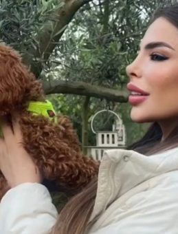 K&ouml;peğini camdan sallandırıp videoya &ccedil;ekti: Cani kadın o anları sosyal medyadan paylaştı!