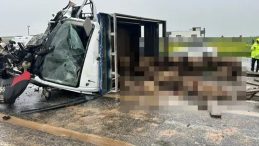 Koyun Y&uuml;kl&uuml; Kamyonet İle Otomobil &Ccedil;arpıştı: 2 &Ouml;l&uuml;, 3 Yaralı