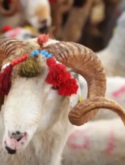 KURBAN BAYRAMI G&Uuml;NLERİ 2026: Kurban Bayramı tatili ne zaman, ka&ccedil; g&uuml;n s&uuml;recek?