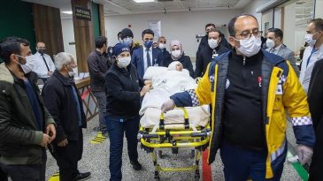 K&uuml;&ccedil;&uuml;k Asiye'ye Pitbull Saldırısı Davasında 6 Sanığa Hapis Cezası