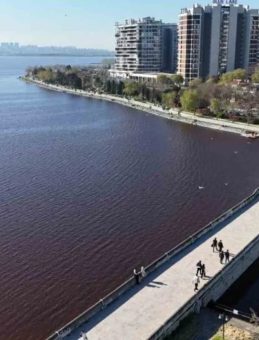 K&uuml;&ccedil;&uuml;k&ccedil;ekmece G&ouml;l&uuml; Kırmızıya D&ouml;nd&uuml;