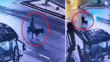Kuyumcudan altın &ccedil;alıp eşekle ka&ccedil;mıştı! 'G&ouml;rebildiğim altınları alarak poşete doldurdum'