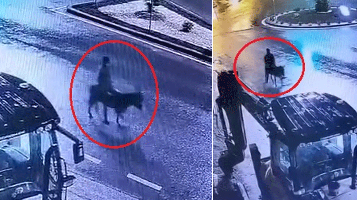 Kuyumcudan altın &ccedil;alıp eşekle ka&ccedil;mıştı! 'G&ouml;rebildiğim altınları alarak poşete doldurdum'