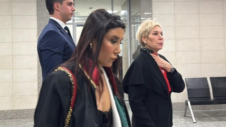 Leyla Alaton'a ait bazı şirketlerin i&ccedil;ini boşaltmakla su&ccedil;lanan &ccedil;alışanların yargılanmasına devam edildi