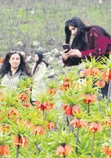 &lsquo;Ağlayan gelinler&rsquo; baharı m&uuml;jdeledi