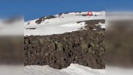 Malatya&rsquo;da ayı ve yavrusu g&ouml;r&uuml;nt&uuml;lendi