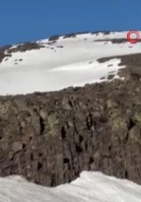 Malatya&rsquo;da ayı ve yavrusu g&ouml;r&uuml;nt&uuml;lendi