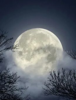 Mayıs Dolunayı Ne Zaman, Hangi G&uuml;n G&ouml;zlemlenecek? 2026 Mayıs Dolunayının Tarihi ve Bur&ccedil;lara Etkisi