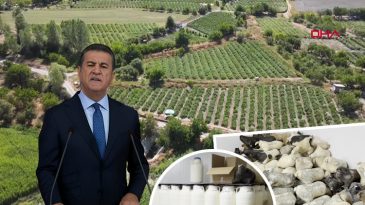 Mustafa Sarıg&uuml;l'&uuml; Sevindirecek Haber: Slow Food Ark of Taste Listesine Alındı