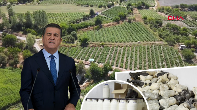 Mustafa Sarıg&uuml;l'&uuml; Sevindirecek Haber: Slow Food Ark of Taste Listesine Alındı