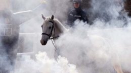 Nevşehir'de Yetişiyor: 20'den Fazla İle G&ouml;nderiliyor! Jandarmanın En B&uuml;y&uuml;k Destek&ccedil;isi