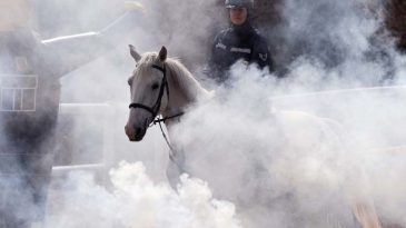 Nevşehir'de Yetişiyor: 20'den Fazla İle G&ouml;nderiliyor! Jandarmanın En B&uuml;y&uuml;k Destek&ccedil;isi