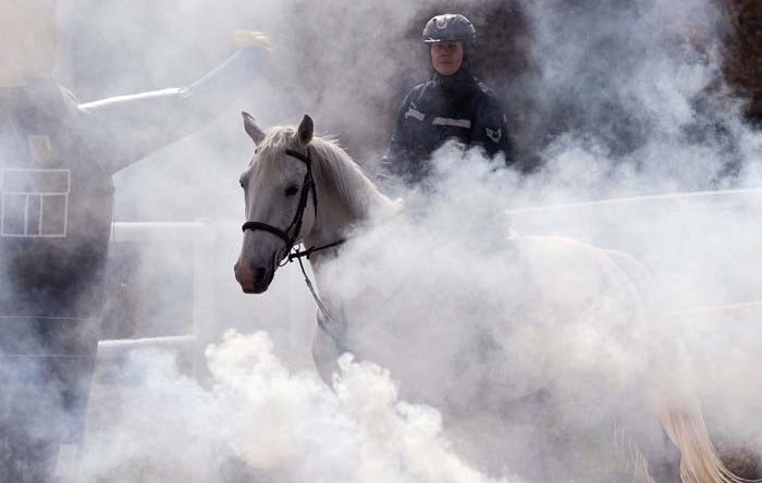 Nevşehir'de Yetişiyor: 20'den Fazla İle G&ouml;nderiliyor! Jandarmanın En B&uuml;y&uuml;k Destek&ccedil;isi