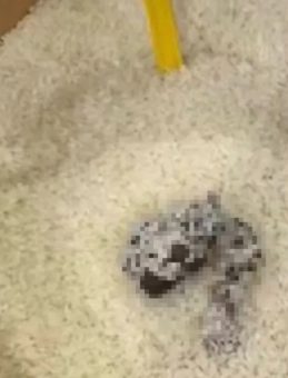 O markete ceza kesildi: Mide bulandıran skandal g&ouml;r&uuml;nt&uuml;ler!