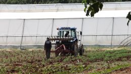 Orta Doğu gerilimi tarımda fiyatları y&uuml;kseltiyor: &Ccedil;ift&ccedil;iler alternatiflere y&ouml;neliyor, AB destek paketleri hazırlıyor