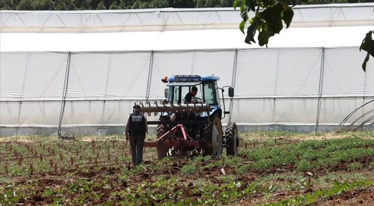 Orta Doğu gerilimi tarımda fiyatları y&uuml;kseltiyor: &Ccedil;ift&ccedil;iler alternatiflere y&ouml;neliyor, AB destek paketleri hazırlıyor