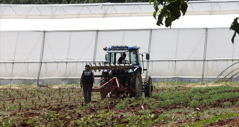 Orta Doğu gerilimi tarımda fiyatları y&uuml;kseltiyor: &Ccedil;ift&ccedil;iler alternatiflere y&ouml;neliyor, AB destek paketleri hazırlıyor