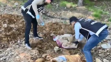 Pendik'te operasyon: Toprak altındaki depoda binlerce silah par&ccedil;ası bulundu! 4 ş&uuml;pheli g&ouml;zaltında