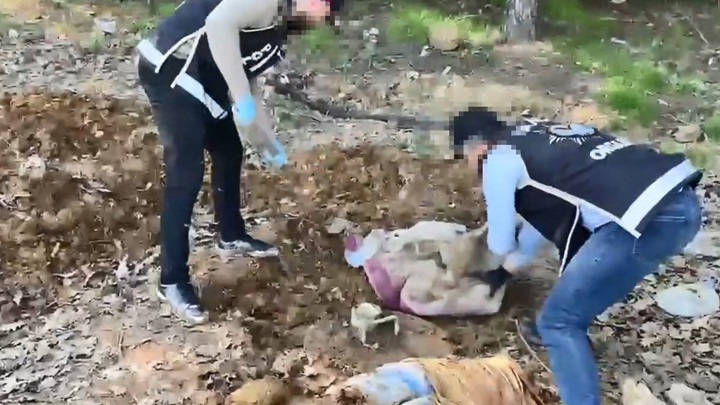 Pendik'te operasyon: Toprak altındaki depoda binlerce silah par&ccedil;ası bulundu! 4 ş&uuml;pheli g&ouml;zaltında