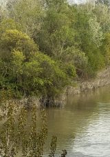 Sakarya Nehri&rsquo;ne D&uuml;şt&uuml;: Kaybolan &Ccedil;ocuk Aranıyor!