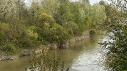 Sakarya Nehri&rsquo;ne D&uuml;şt&uuml;: Kaybolan &Ccedil;ocuk Aranıyor!