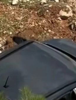 Şarampole d&uuml;şen otomobilde bulunan kadın hayatını kaybetti