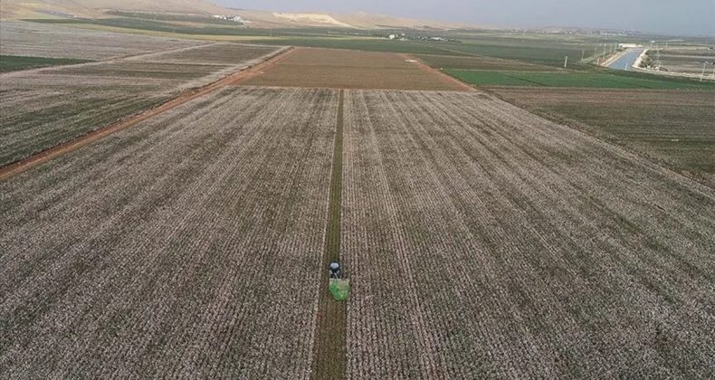 Savaş o &uuml;r&uuml;n&uuml;n de fiyatlarını y&uuml;kseltti&hellip; Kimsenin aklına gelmemişti