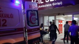 Siirt'te feci kaza: Ağa&ccedil; budarken kazara kolunu kesen kişi &ouml;ld&uuml;