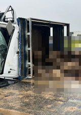 Siirt'te Feci Kaza! Koyun Y&uuml;kl&uuml; Kamyonet ile Otomobil &Ccedil;arpıştı: 2 &Ouml;l&uuml;, 3 Ağır Yaralı