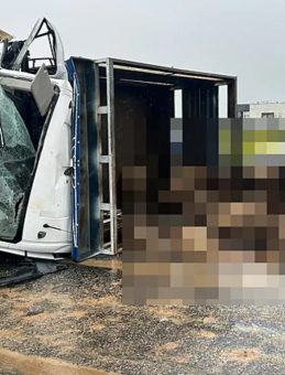 Siirt'te Feci Kaza! Koyun Y&uuml;kl&uuml; Kamyonet ile Otomobil &Ccedil;arpıştı: 2 &Ouml;l&uuml;, 3 Ağır Yaralı