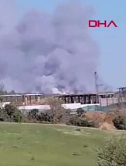 SON DAKİKA: Beykoz'da orman yangını! M&uuml;dahaleler s&uuml;r&uuml;yor